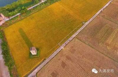 不用自己动手，你也可以拥有自己的田块和土鸡！