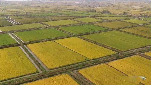 我县顺利通过全国绿色食品原料水稻标准化生产基地创建验收